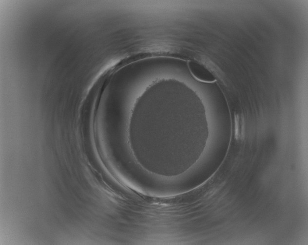 X0000063460723200602031833