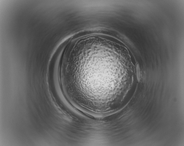 X0000063460724200602031833