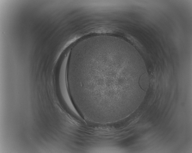 X0000063460727200602031833