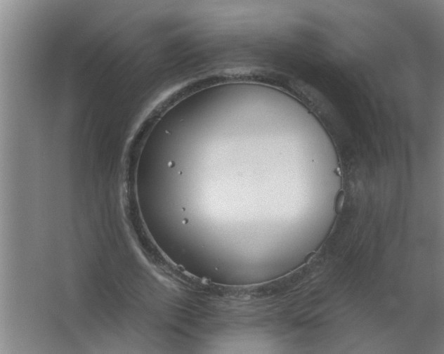 X0000063460728200602031833