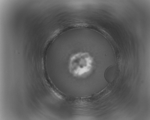 X0000063460729200602031833