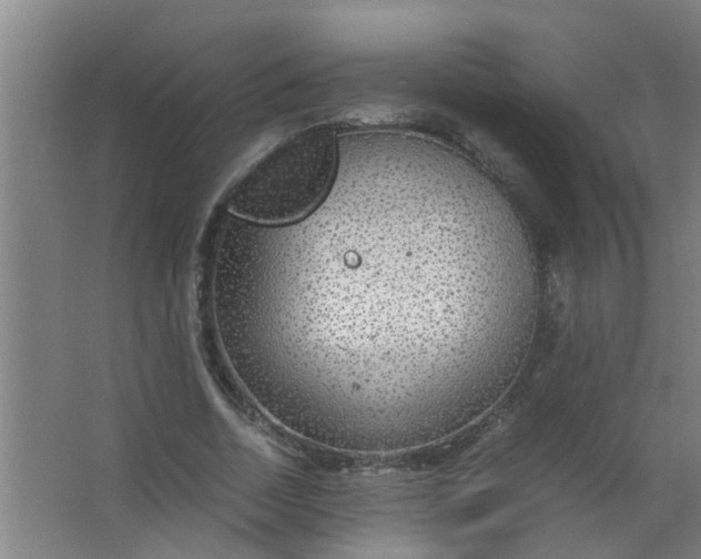 X0000063460730200602031833