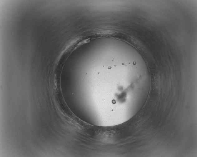 X0000063460731200602031833