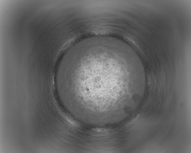 X0000063460733200602031833