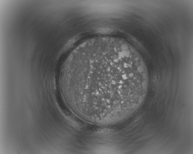 X0000063460734200602031833