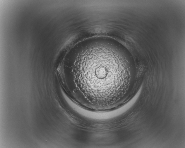 X0000063460735200602031833