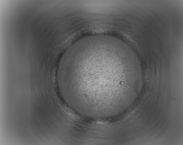 X0000063460737200602031833