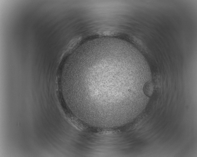 X0000063460738200602031833