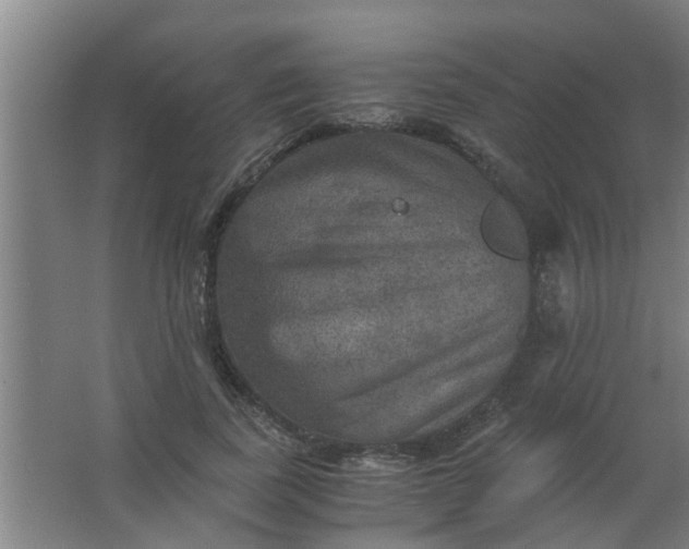 X0000063460739200602031833