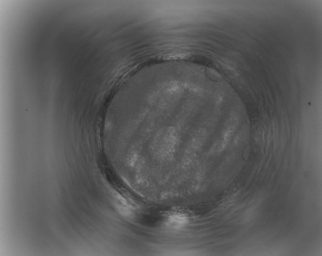 X0000063460743200602031833