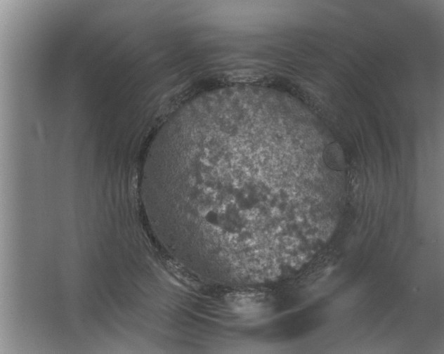 X0000063460745200602031833