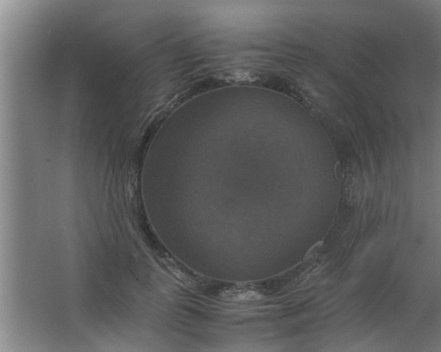 X0000063460747200602031833