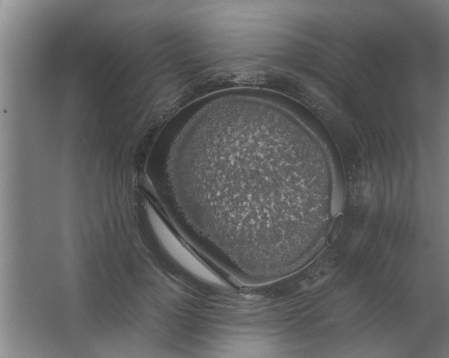 X0000063460748200602031833