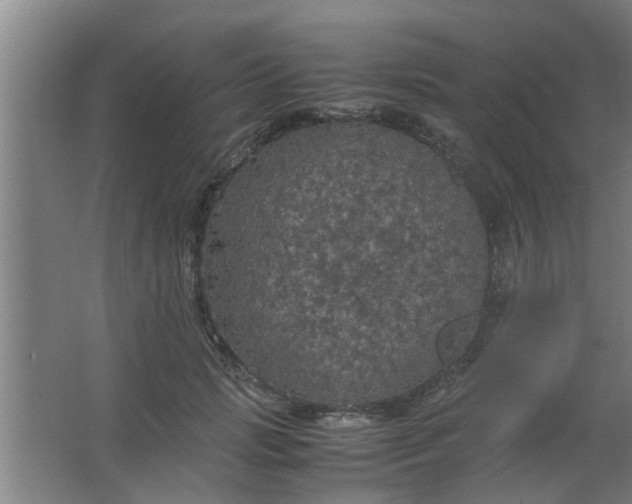 X0000063460749200602031833