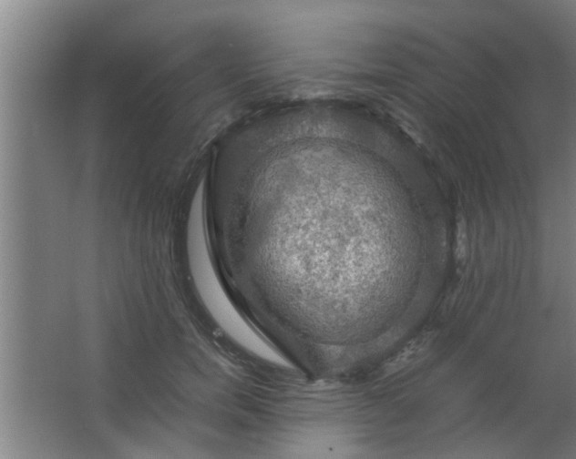 X0000063460750200602031833