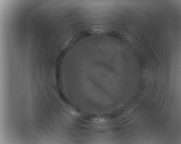 X0000063460751200602031833