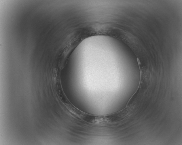 X0000063460752200602031833