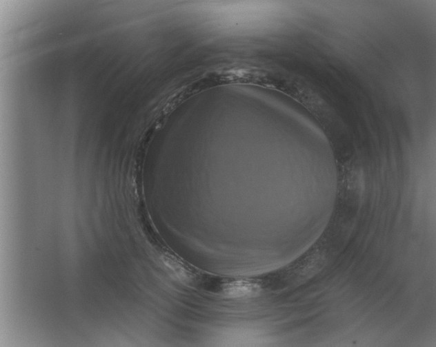 X0000063460754200602031833