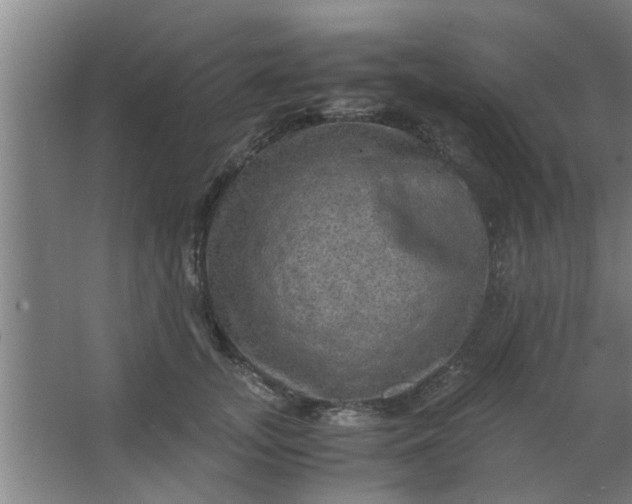 X0000063460755200602031833