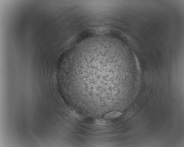 X0000063460757200602031833