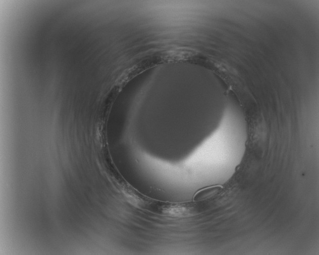 X0000063460759200602031833