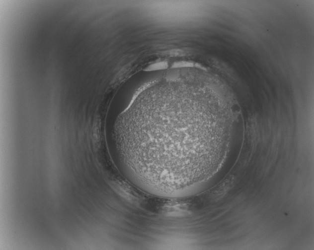 X0000063460760200602031833