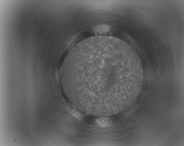 X0000063460761200602031833