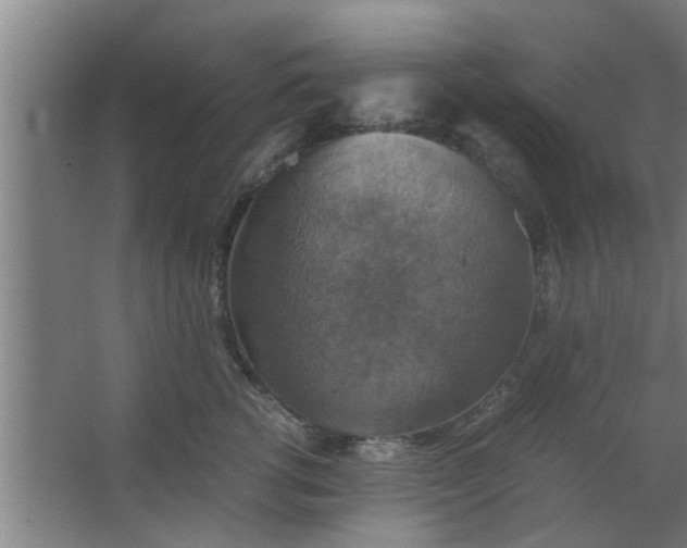 X0000063460762200602031833