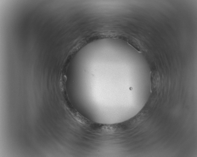 X0000063460764200602031834