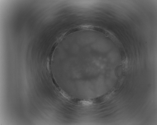 X0000063460765200602031834