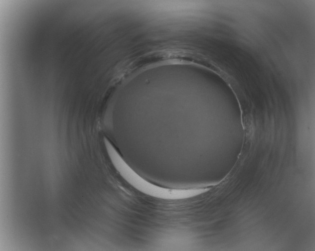 X0000063460766200602031834