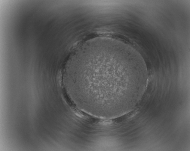 X0000063460767200602031834