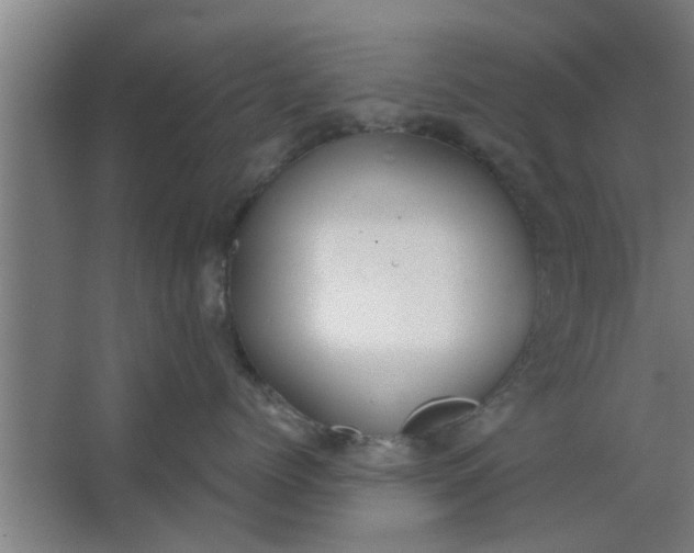 X0000063460768200602031834