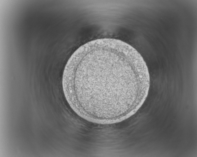 X0000063460769200602031833