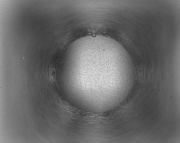 X0000063460770200602031833