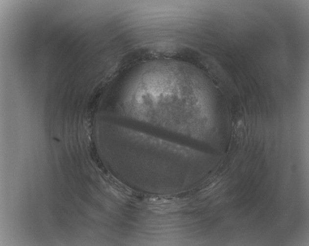 X0000063460772200602031833