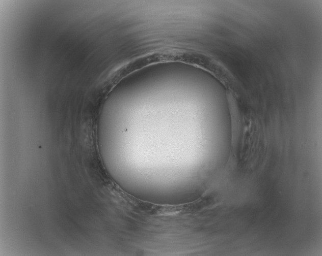 X0000063460773200602031833