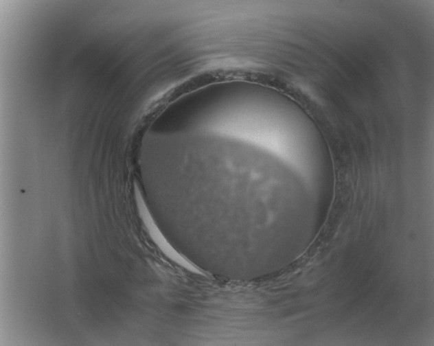 X0000063460775200602031833