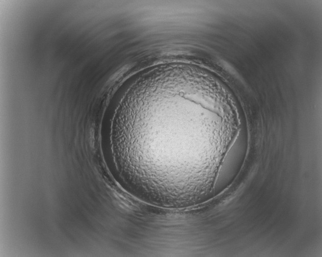 X0000063460777200602031833