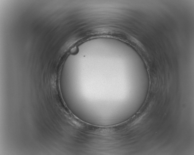 X0000063460778200602031833