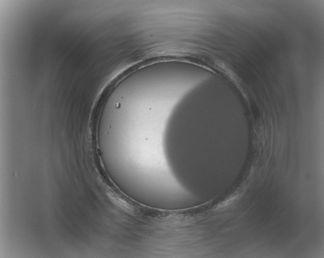 X0000063460779200602031833