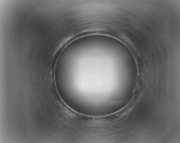 X0000063460781200602031833