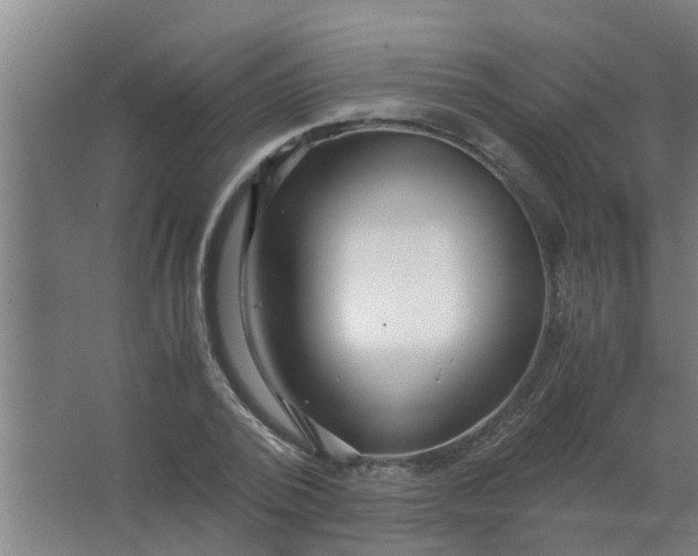 X0000063460784200602031833