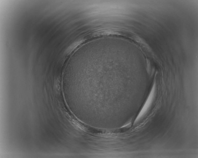 X0000063460785200602031833