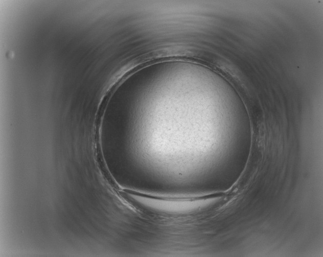 X0000063460786200602031832