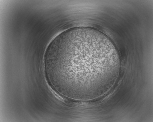 X0000063460787200602031832