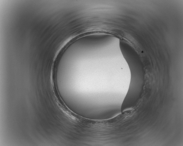 X0000063460788200602031832