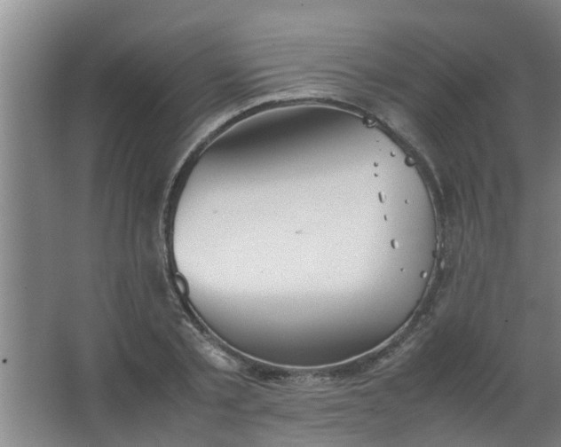 X0000063460789200602031832