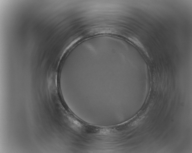 X0000063460790200602031832