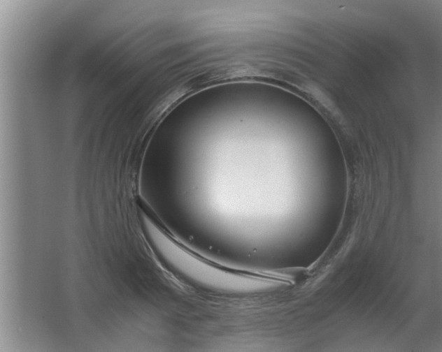 X0000063460793200602031832